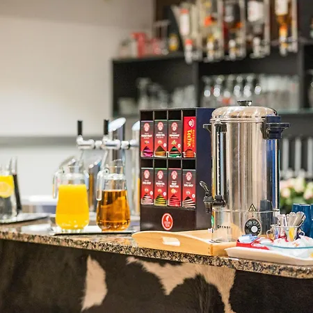 阿里昂机场酒店 酒店