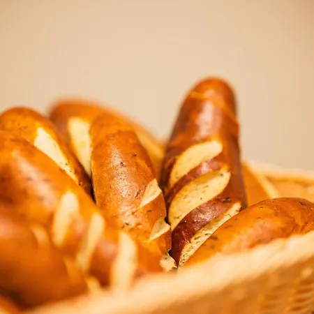 阿里昂机场酒店 酒店 4*