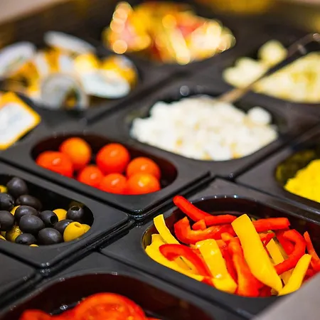 酒店 阿里昂机场酒店 4*