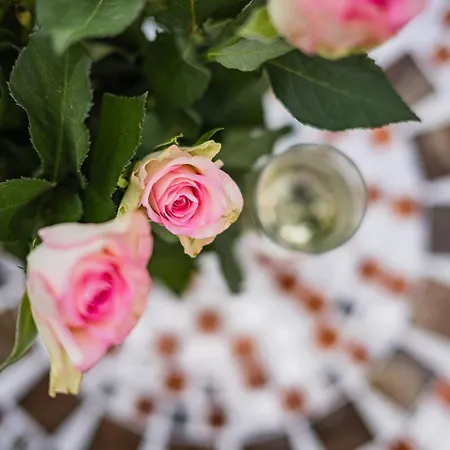 Arion Airport שווכאט