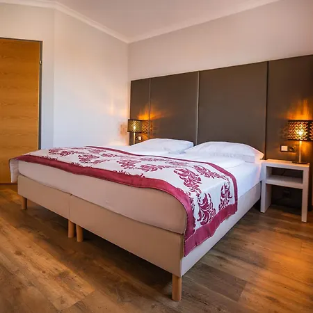 阿里昂机场酒店