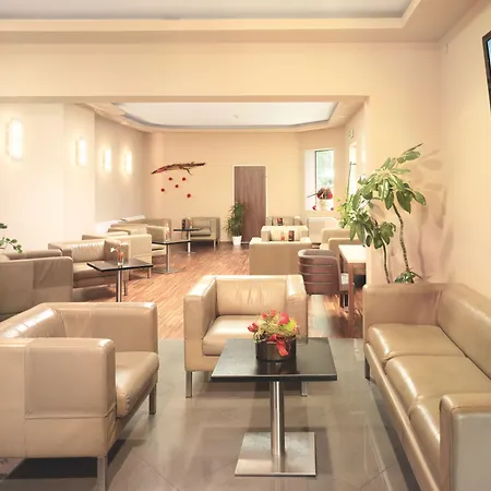 阿里昂机场酒店 酒店