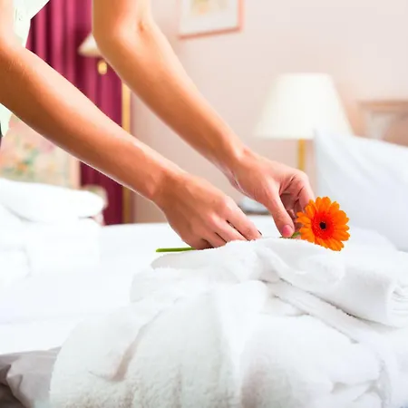 阿里昂机场酒店 4*