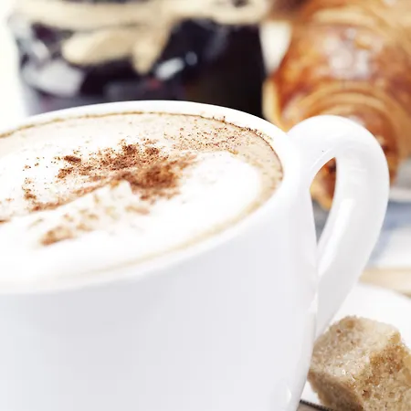 阿里昂机场酒店 酒店