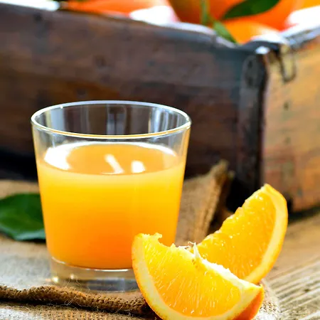 酒店 阿里昂机场酒店