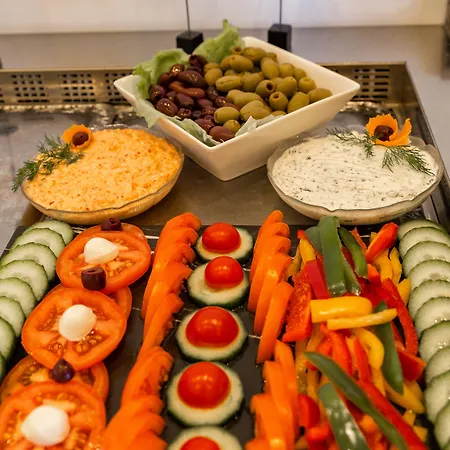 阿里昂机场酒店 酒店 施韦夏特