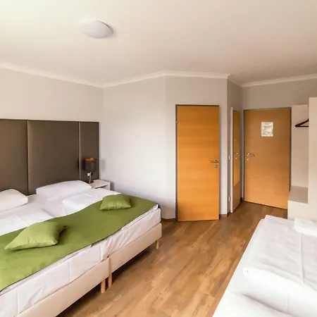 阿里昂机场酒店 4* 施韦夏特